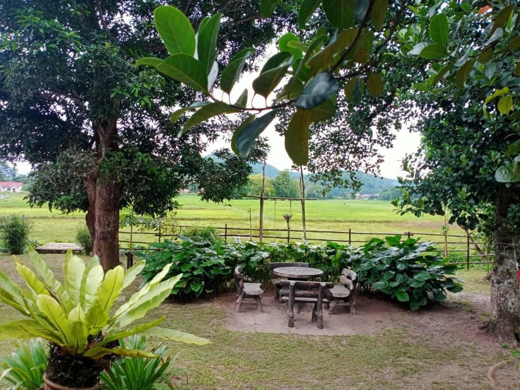 Kampung Tok Lembut Vacation Home Pantai Cenang  Eksteriør billede
