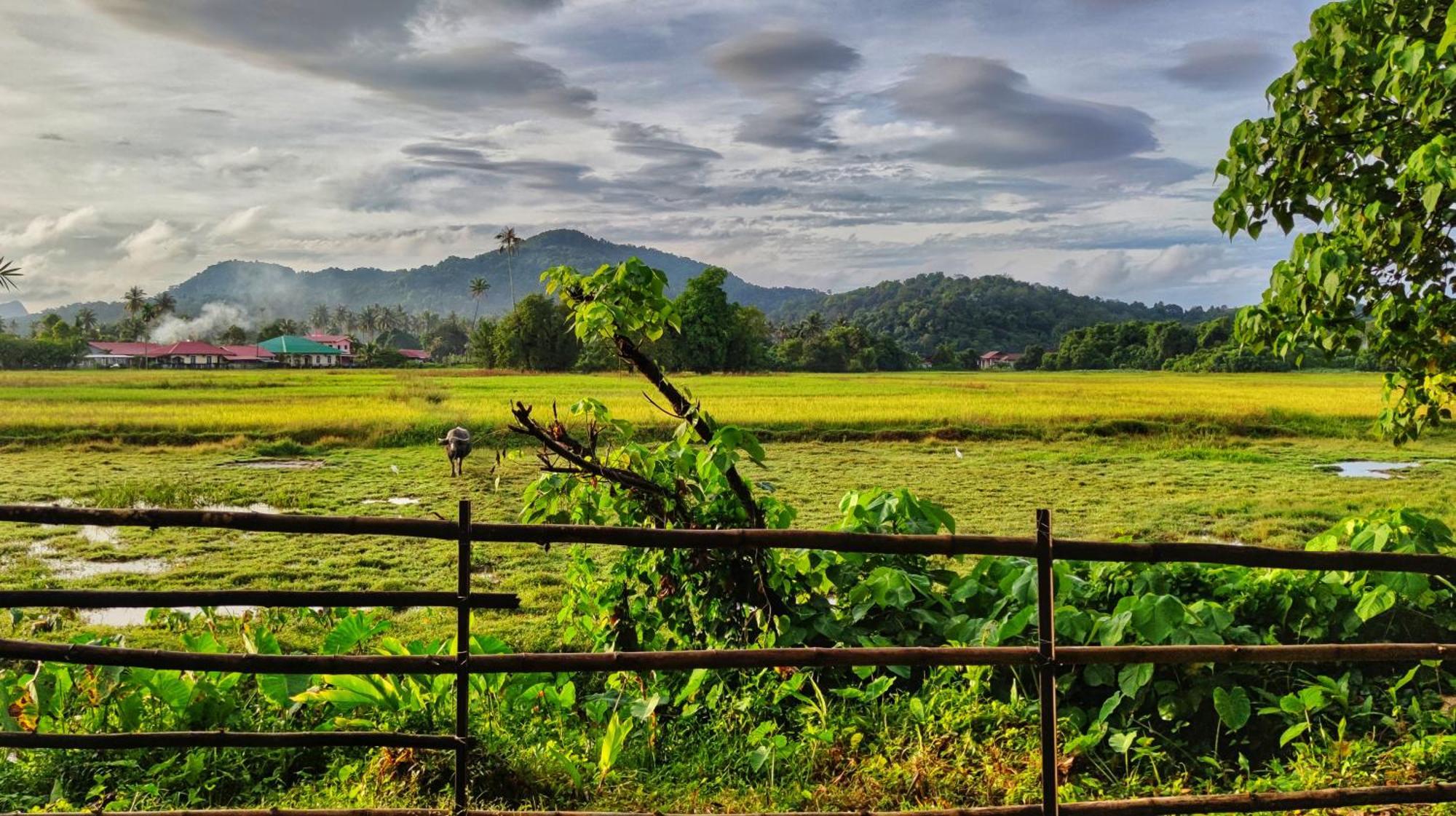 Kampung Tok Lembut Vacation Home Pantai Cenang  Eksteriør billede