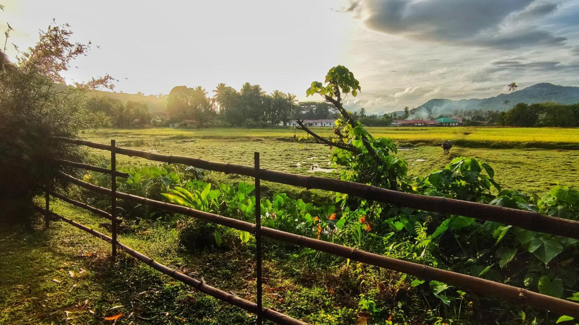 Kampung Tok Lembut Vacation Home Pantai Cenang  Eksteriør billede